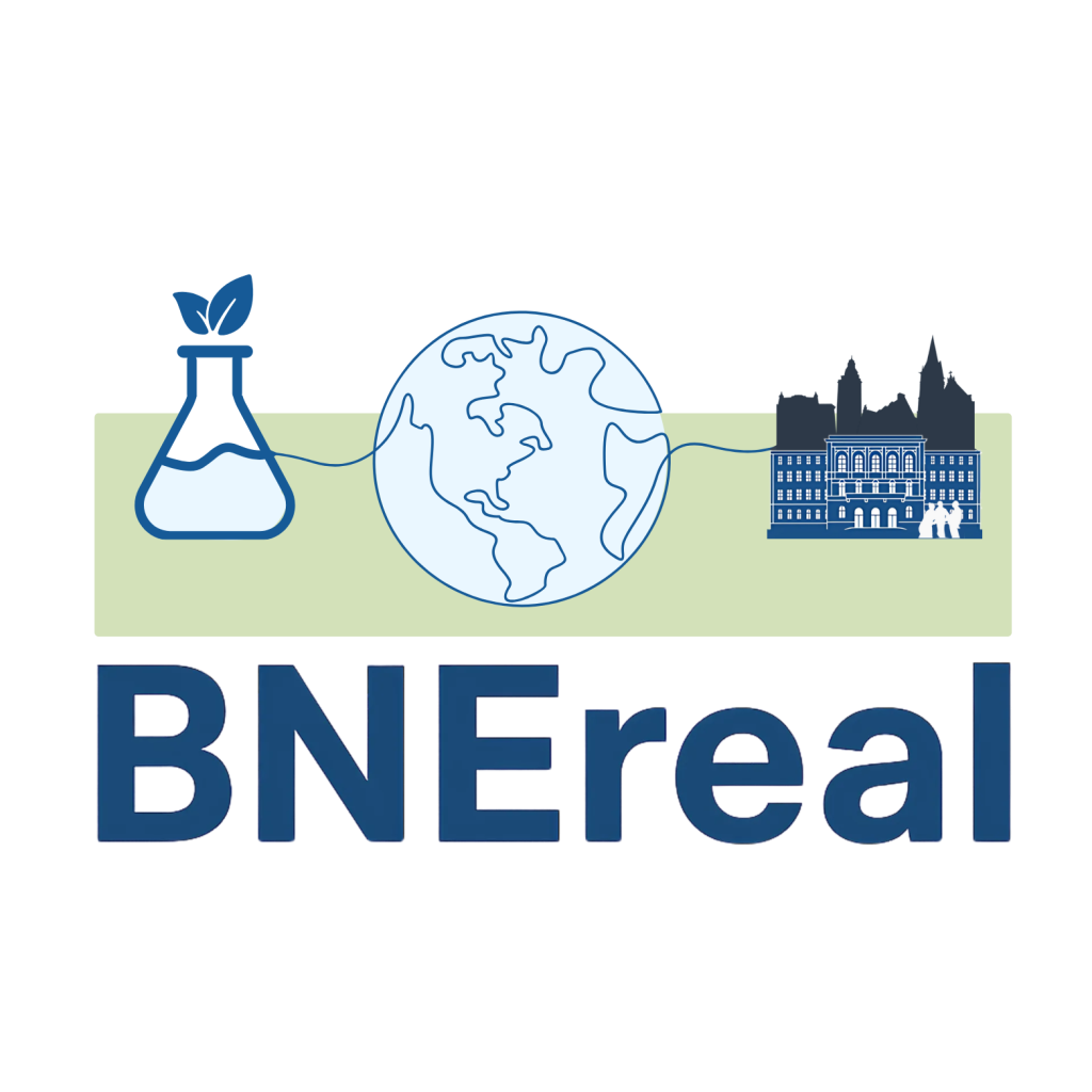 Logo BNEreal 1 1024x1024