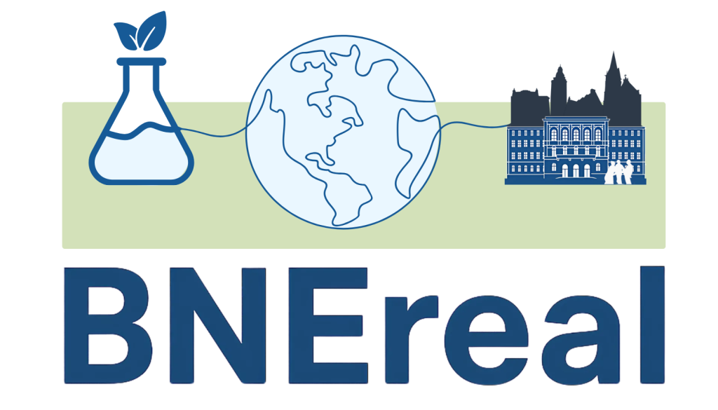 Cropped Logo BNEreal 1 1024x585