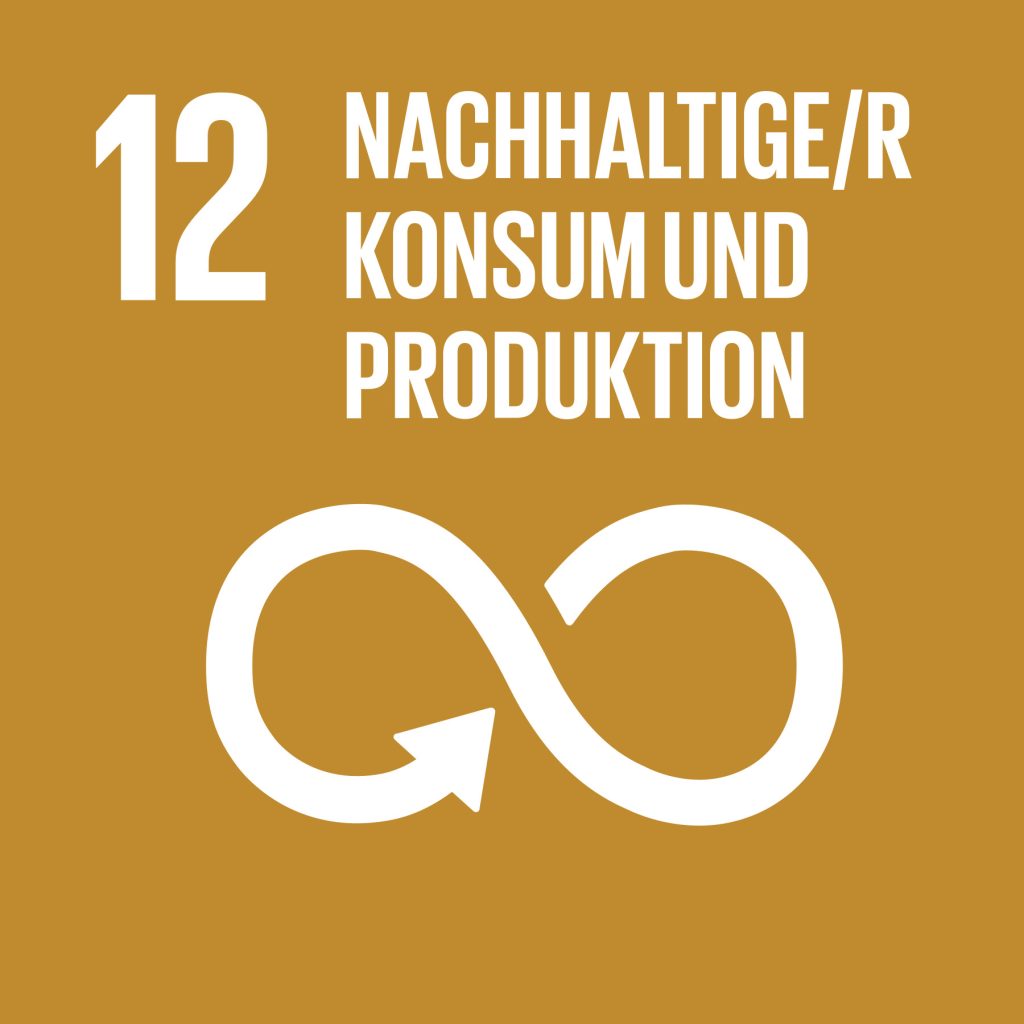 Sdg 12 1024x1024