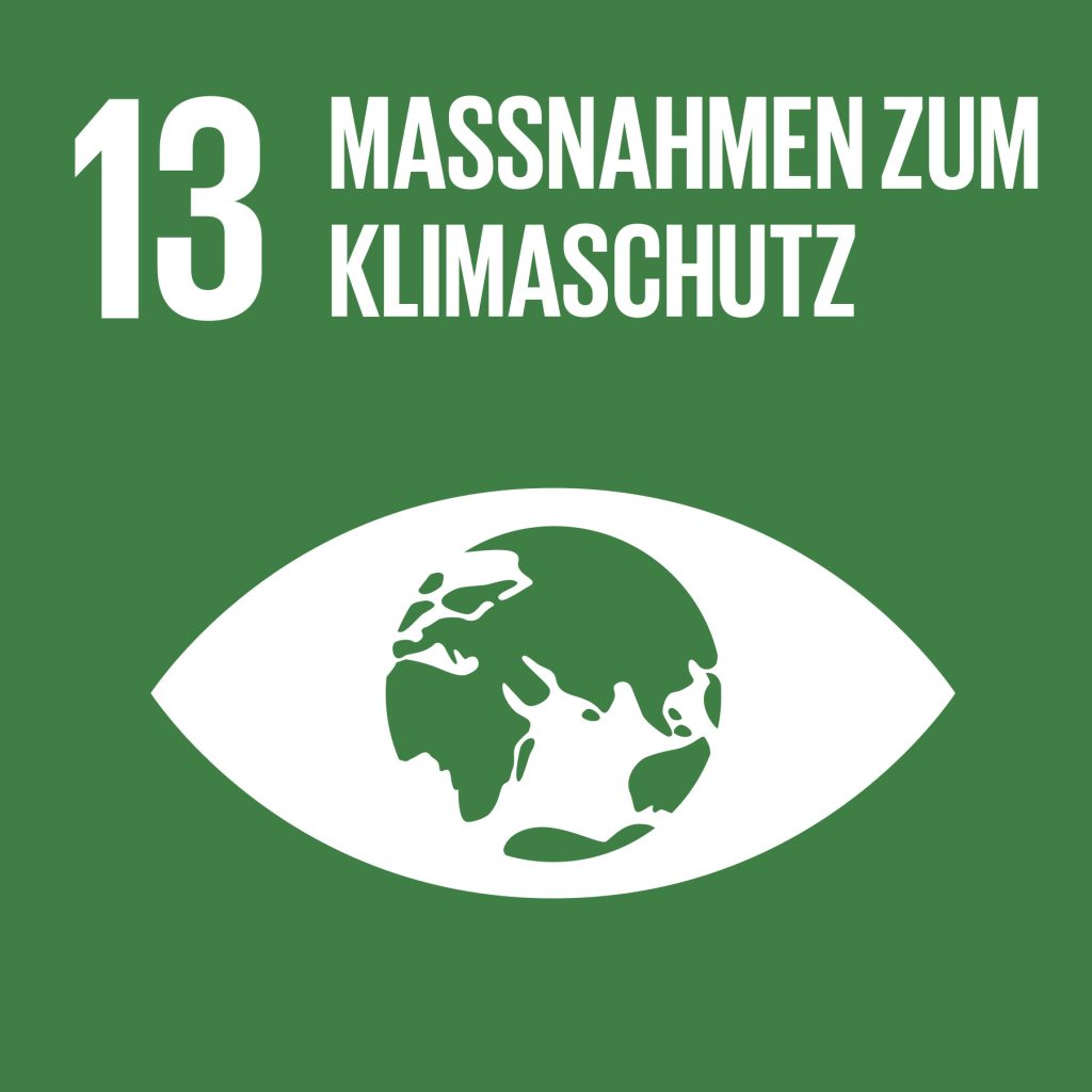 Sdg 13 1024x1024