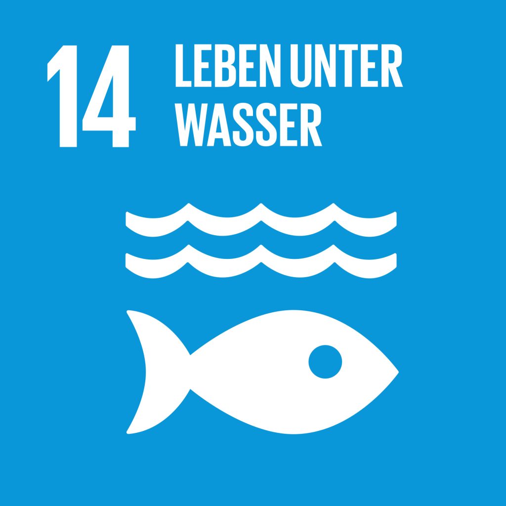 Sdg 14 1024x1024